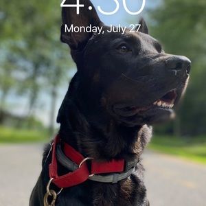 Meet your Posher, Daniel